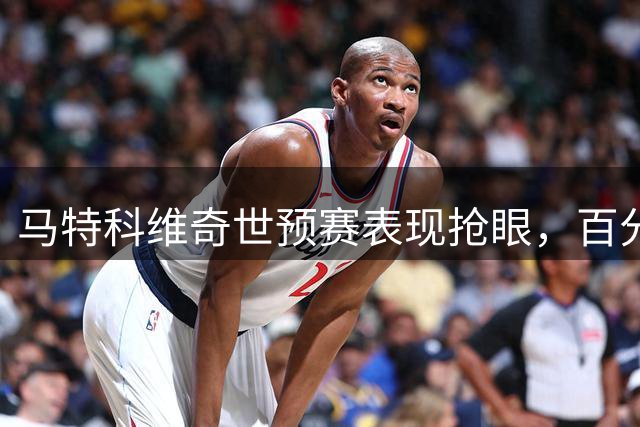 马特科维奇世预赛表现抢眼，百分百命中率砍下17分